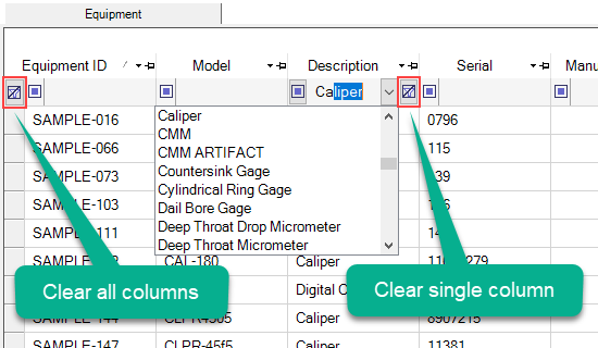 Clear All or Clear Single Filter