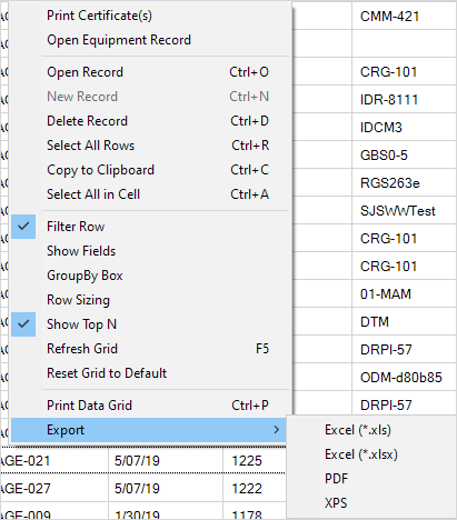 Data Grid Context Menu